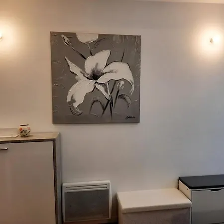Maison Confortable A 60 M², Terrasse *